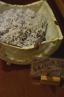 Fujieda Park in Hotel