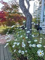 Gyeongju Orsay Pension