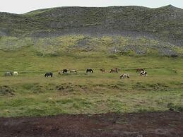 Au44 cottages - Arngrimslundur