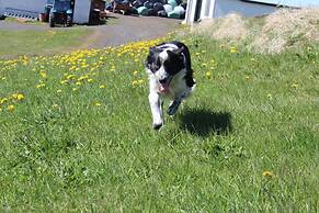 Skammidalur Guesthouse