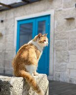 ECO Aparthotel The Dreamers's Club