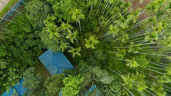 Wayanad Ranches Resorts