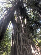 Tropical Sands Kelaa