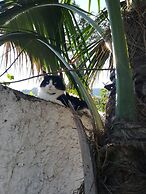 B&B Villa Cinque Pini