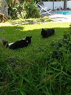 B&B Villa Cinque Pini