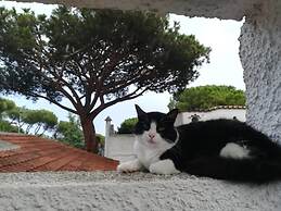 B&B Villa Cinque Pini