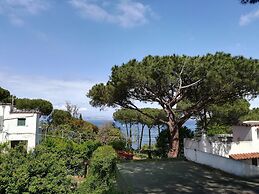 B&B Villa Cinque Pini