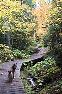 Lake Fanny Hooe Resort-2 Bed With Balcony #12 1 Bedroom Hotel Room by 