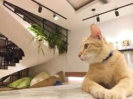 Cozycloud Backpackers Hostel