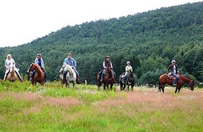 Landgasthof Zum Ochsen