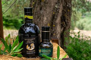 Agriturismo Le Casaline