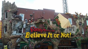 Beautiful Views Summit of Gatlinburg