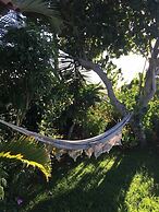 Bella Vista Eco Experience