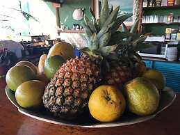 Bella Vista Eco Experience