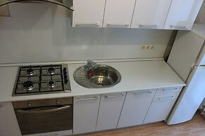 Apartment on Tulpanov St. 1-3