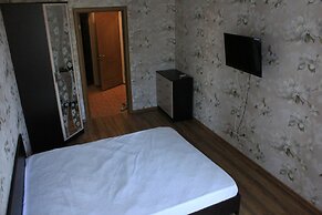 Apartment on Tulpanov St. 1-3