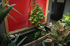 Baan Paea Guest House