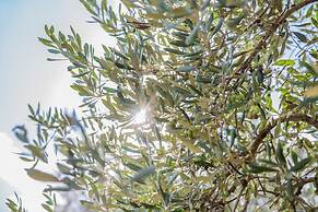 Azienda Agricola Spirdo