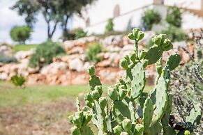 Azienda Agricola Spirdo