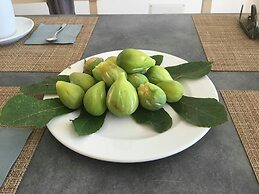 Azienda Agricola Spirdo