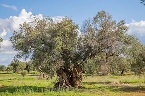 Azienda Agricola Spirdo