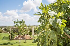 Azienda Agricola Spirdo