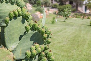Azienda Agricola Spirdo