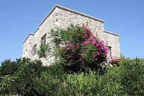 Important Group Villa Citrus