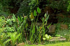 Northern Studio Suite