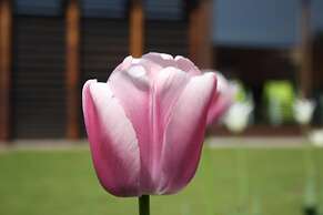 Løgumkloster Refugium