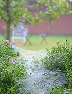 Løgumkloster Refugium