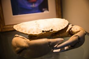 Important Group Villa Dream