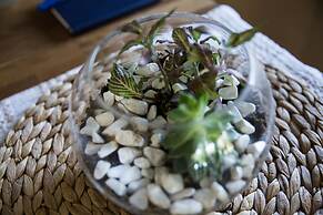 Important Group Villa Dream