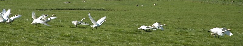 Krákhamar apartments