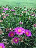 Bed&Breakfast Villa Mamma Grazia