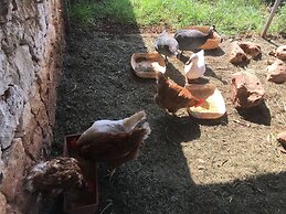 Bed&Breakfast Villa Mamma Grazia