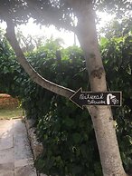 Bed&Breakfast Villa Mamma Grazia