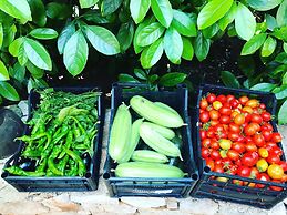 Bed&Breakfast Villa Mamma Grazia