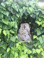 Bed&Breakfast Villa Mamma Grazia