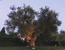 Bed&Breakfast Villa Mamma Grazia