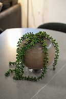 HaHavatselet Suite - Isrentals