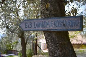 B&B Lavanda e Rosmarino