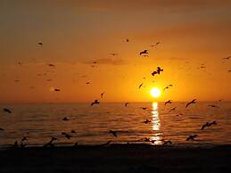 Escape Resort & Marina