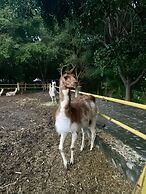 Rancho Agua Salada