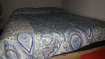 Hostel Enjoy Vallarta 19