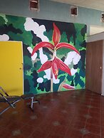 Hostel Enjoy Vallarta 19