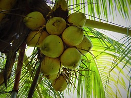 Hotel Boutique Finca Santa Luisa