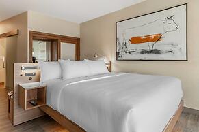 Cambria Hotel Richardson - Dallas