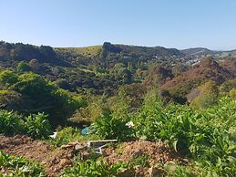 Wild Days Accommodation