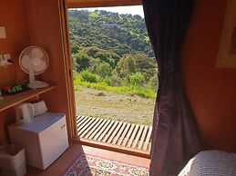 Wild Days Accommodation